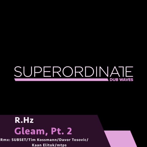 R.Hz - Gleam, Pt. 2 [SUPDUB383]